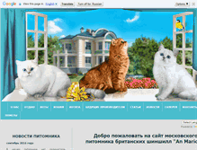 Tablet Screenshot of anmarion.ru